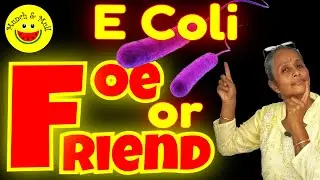 What causes E Coli UTI Infection | How  E Coli causes UTI | E Coli UTI microbiology