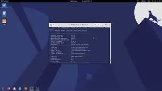 Scan your Linux for security flaws using Lynis (one command)