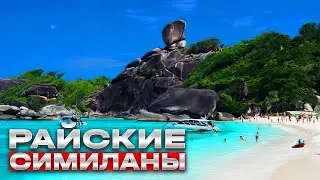 Райские Симиланы обзор🌴Таиланд🍒Пхукет💎Остров номер 8 Koh Similan🍓ONLINE TRAVEL SCOUT VLOG
