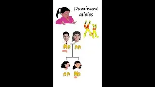 Dominant allele #shorts
