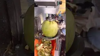 Perfect  !!! Coconut Cutting in Thailand - Fruits Cutting Skill
