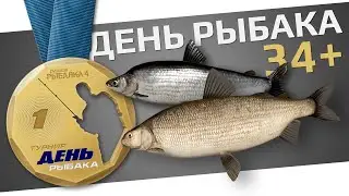 РУССКАЯ РЫБАЛКА 4 - День Рыбака 2024 / Квесты 34+ уровни, №10, 11 / Сиг и Чир / Стрим 5