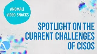 Spotlight on the Current Challenges of CISOs