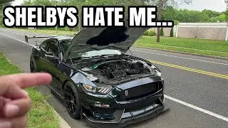 NO! I BLEW UP a SHELBY GT350! *What Happened…