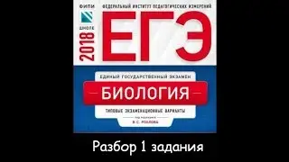 Разбор реальных заданий ЕГЭ. Биология. Задание 1  из книги Рохлова В.С.Подготовка к ЕГЭ по биологии