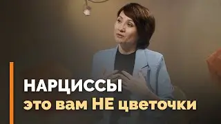 Кто такие нарциссы и чем опасен нарциссизм | Я и мой характер