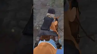 Из какого вы города? #sso #starstable