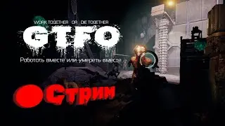 НИКАКИХ. Резких. Движений... ►GTFO  | 🔴 Стрим