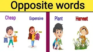 Opposite words | Antonyms words | Opposite words for children | Opposite words in english | part 5