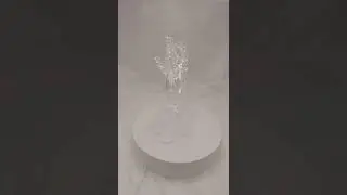 Hummingbird flower round v1