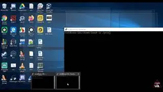 10 Capability Leaking