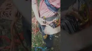 Bizarre Tree Climbing Protection