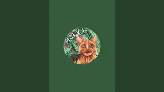 PlantaKoto в прямом эфире!