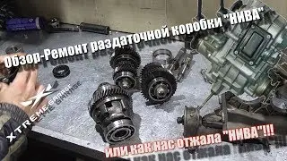 Как нас отжала трансмиссия 