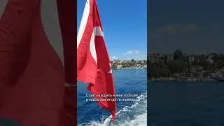 Когда ты художник и уехал в другую страну из-за войны в твоей стране
