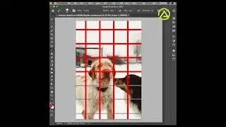 Quick Remove Fence in Photoshop 