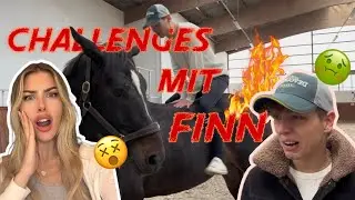 STALL CHALLENGES MIT FINN! ihr entscheidet 😳🔥| annchenaugustine