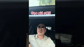 gạo ST25