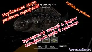 Трофейная рыбалка на Норвежке!!! 