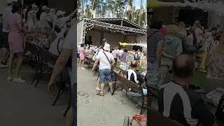 сказочный лес 2024