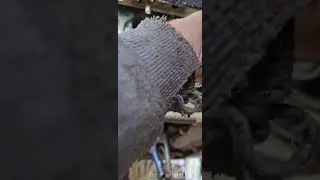 обрыв болта натяжной ролика ремня генератора , Lada калина спорт