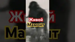 Живой мамонт Якутии!!! СМОТРИТЕ ПОЛНОЕ ВИДЕО! #якутия #россия