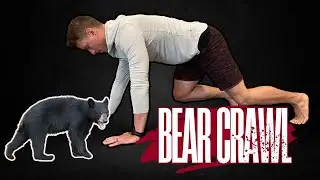 Bear Crawl -  DNS 11-12 Month Exercise