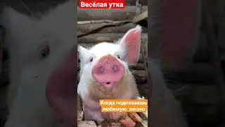 Когда слышишь любимую  песню и начинаешь подпевать