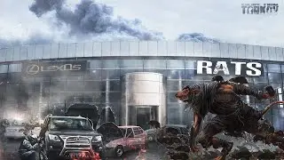 3 топ позиции для крысиной игры на Лексусе Улиц Таркова | #eft #escapefromtarkov #тарков #twitch