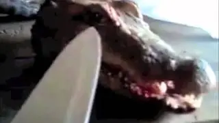 Я ПРОТИВ ЖЕСТОКОСТИ !