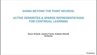 CNS 2021 Poster: Active Dendrites & Sparse Representations for Continual Learning