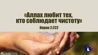«Аллах любит тех, кто соблюдает чистоту» / Коран, 2: 222
