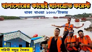 ১ রাত ২ দিনের দুর্দান্ত ভ্রমণ প্লান | Parikhi Sea Beach | Mangrove Forest | Torento Beach Resort