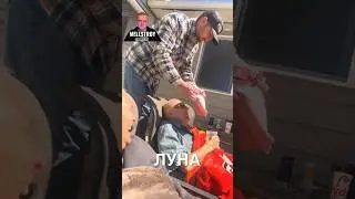 Дедуля подыграл родным 😂 