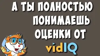 Оценки Тегов и Видео на Ютуб от VidiQ - Стоит ли в Них Слепо Верить