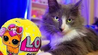 КОТОМОНСТР и ВОЛШЕБНЫЙ ШАР LOL PETS! ШАРЫ для КИСЫ АЛИСЫ! ВОЛШЕБНЫЕ ПИТОМЦЫ СДЕЛАЛИ ЛОЛ Surpise КИС