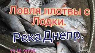 ОКТЯБРЬСКАЯ ПЛОТВА. РЫБАЛКА НА ДНЕПРЕ. ЛОВЛЯ С ЛОДКИ. пос. Днепровский.13.10.2020.