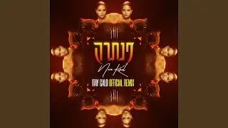 פנתרה (Itay Galo Official Remix)