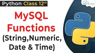 MySQL Functions in Class 12 Computer Science with Python | Functions in MySQL Class 12 Python