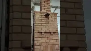 Печь голландка с водяным контуром🔥