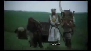 clip3 