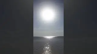 Ратха ятра - Выезд Колесниц Второй лунный день Летнего наваратри / Двития титхи Гупта наваратри