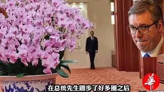 Vučić luta sam po hodnicima u Kini 😄
