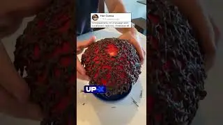 Анекдот про Черепаху 