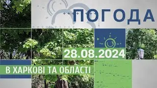 Прогноз погоди в Харкові та Харківській області на 28 серпня
