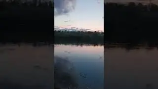 рассвет и пение птиц