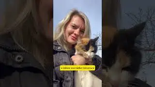 Котик