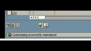 Customizing Incorrectly Maintained in SAP