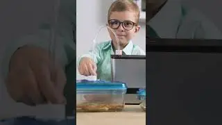 Сравнение вакууматоров RAWMID | PRO VDP-02 и Future RFV-04