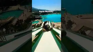 Squishy Monkey vs Red Bull Diver: The Ultimate Challenge